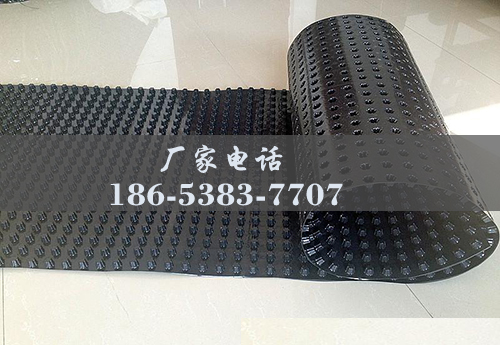 排水板廠家http://m.tqxuh.com/