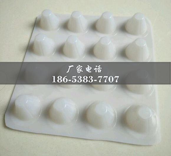 排水板廠家http://m.tqxuh.com/